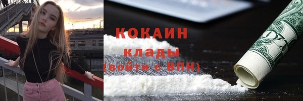 ГАЛЛЮЦИНОГЕННЫЕ ГРИБЫ Вязьма