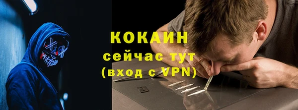 ГАЛЛЮЦИНОГЕННЫЕ ГРИБЫ Вязьма