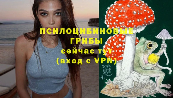 ГАЛЛЮЦИНОГЕННЫЕ ГРИБЫ Вязьма