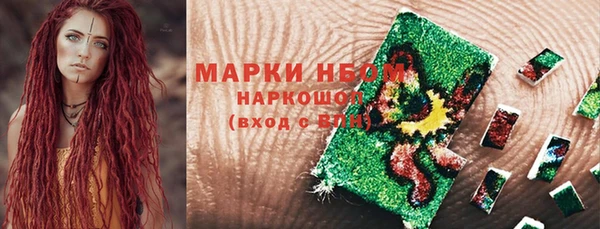 ГАЛЛЮЦИНОГЕННЫЕ ГРИБЫ Вязьма