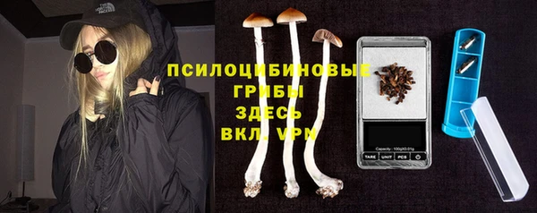ГАЛЛЮЦИНОГЕННЫЕ ГРИБЫ Вязьма