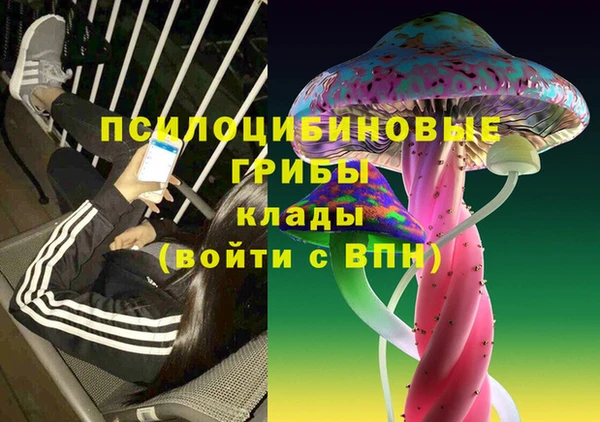 ГАЛЛЮЦИНОГЕННЫЕ ГРИБЫ Вязьма