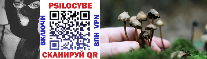 Псилоцибиновые грибы Psilocybe  Долгопрудный 